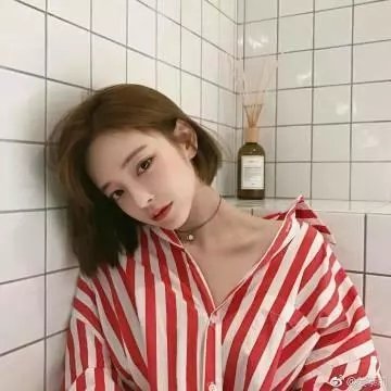 十八怀春绮梦时